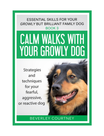 Calm walks with your Growly Dog