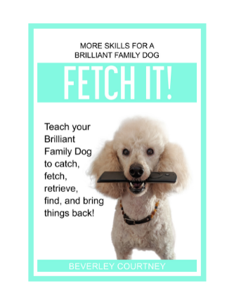 Fetch It!