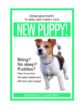 New Puppy!